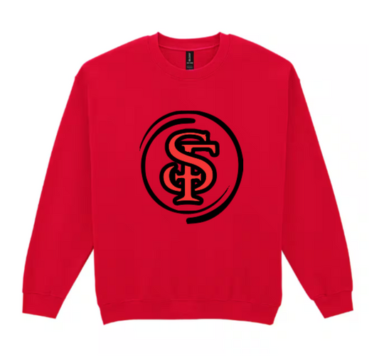 ADULT Glitter Sweatshirt